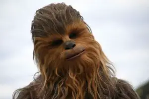 Chewbacca belong to which type of species? Is Chewbacca An Ewok?
