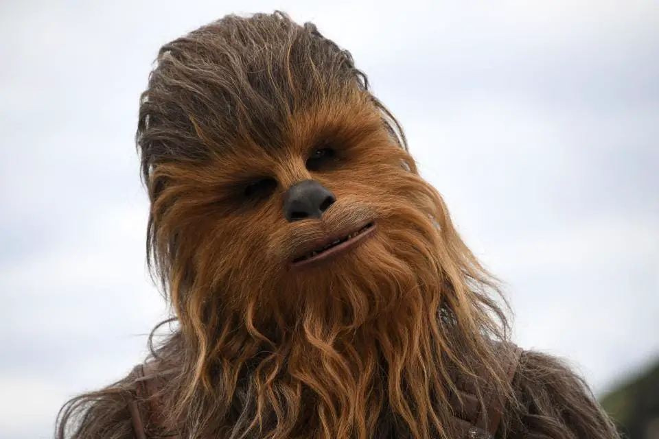 Chewbacca belong to which type of species
